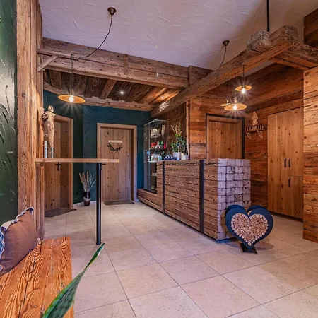 Premium Wildkogel 公寓 胡勒斯巴赫平