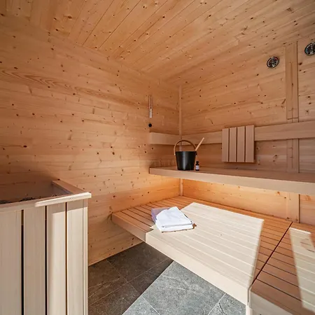 Premium Wildkogel 公寓 *