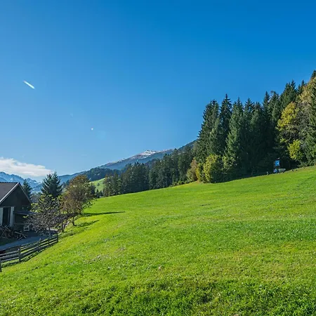 公寓 Premium Wildkogel 胡勒斯巴赫平