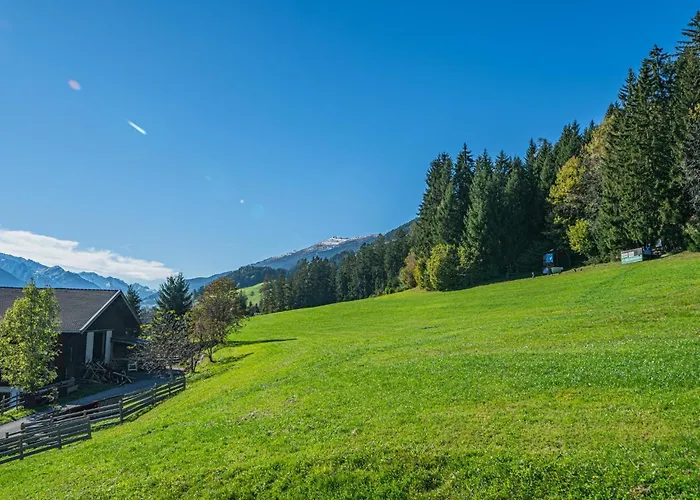 Daire Premium Wildkogel Hollersbach im Pinzgau