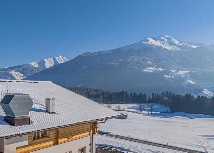 Premium Wildkogel Daire