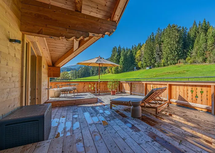 Premium Wildkogel Daire